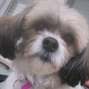 Meet your Posher, Barbara